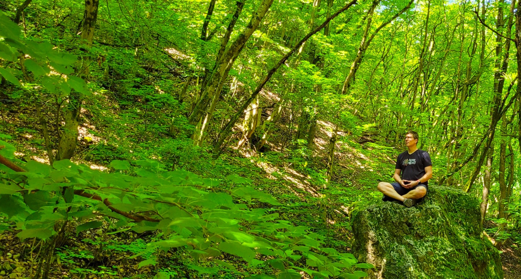 Erdei meditáció — Metta Coaching
